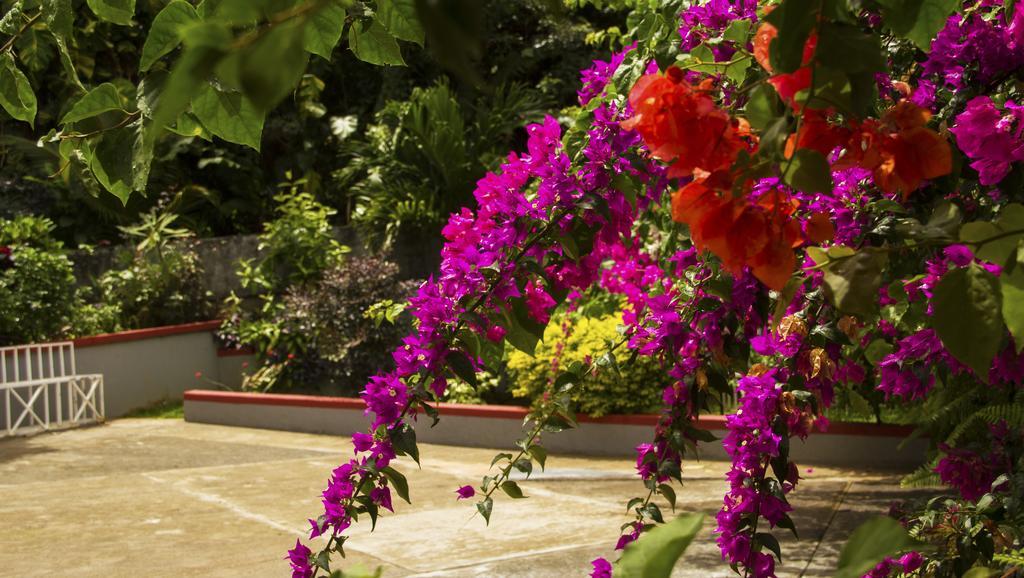 Classique International In Dominica Marigot Стая снимка