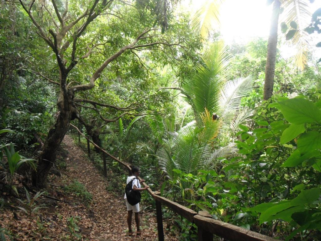 Classique International In Dominica Marigot Екстериор снимка