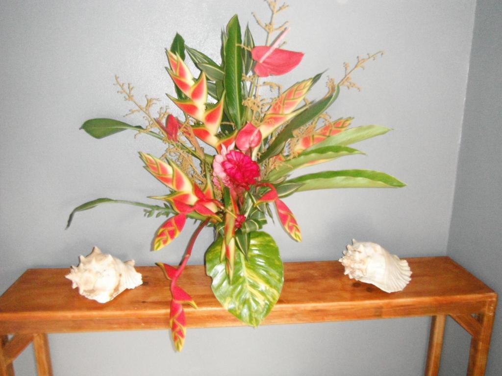 Classique International In Dominica Marigot Стая снимка